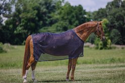 Centaur Scrim Dress Horse Sheet, Dark Navy, Horse
