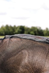 Centaur Scrim Dress Horse Sheet, Black, Pony slide 2 of 5