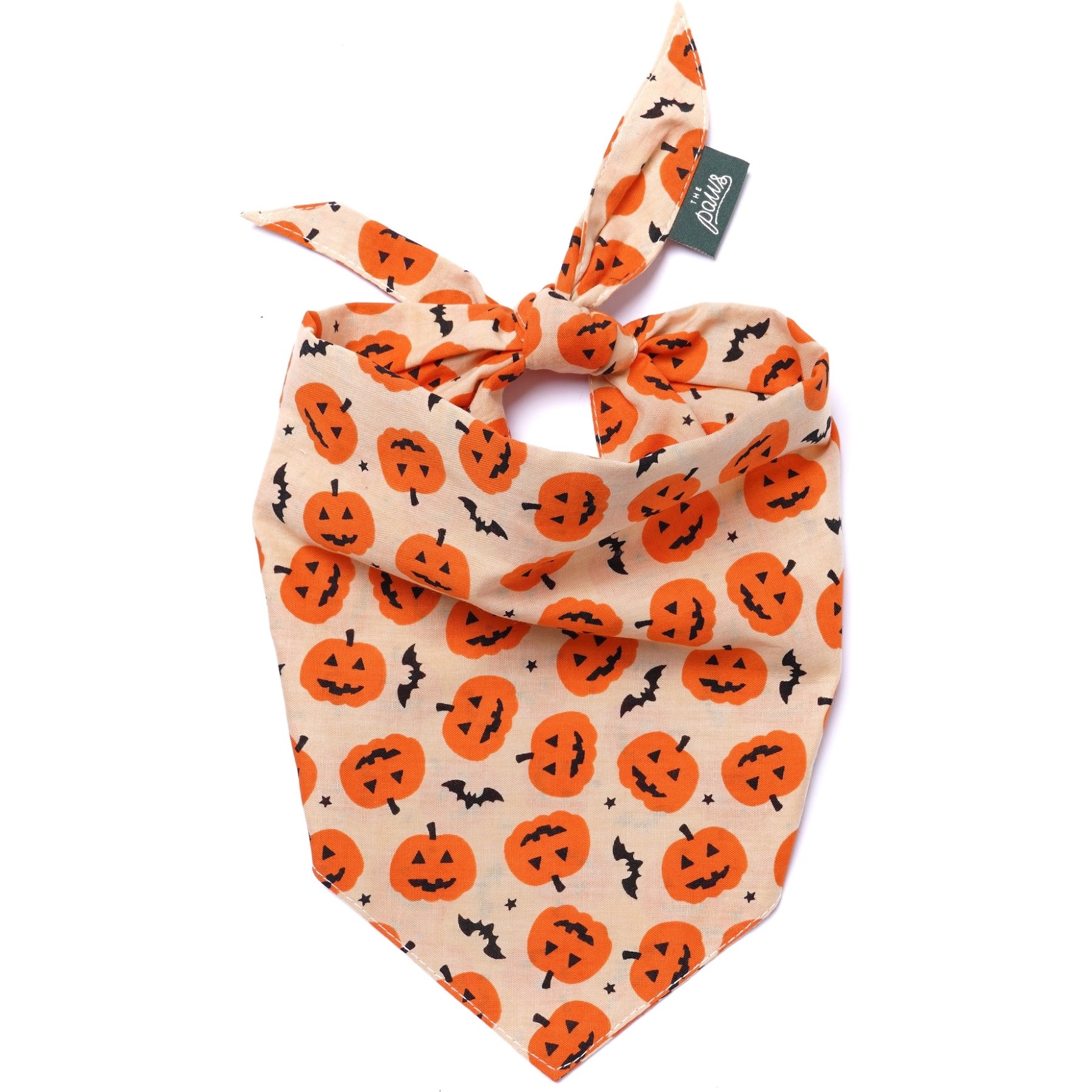 The Paws Pumpkin Dog & Cat Bandana, X-Large