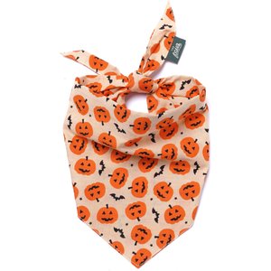 The Paws Pumpkin Dog Bandana, Medium