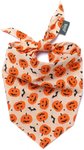 Pumpkin Dog & Cat Bandana, Small