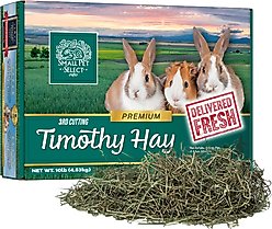 Small Pet Select Third Cut Timothy Hay Small Animal Food, 10-lb box