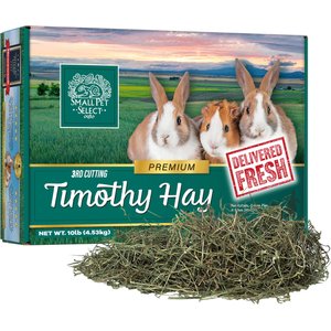 Small Pet Select Third Cut Timothy Hay Small Animal Food, 10-lb box