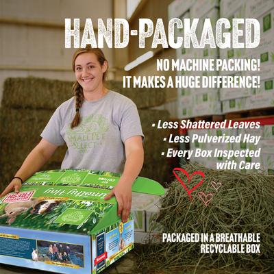Show full view: Small Pet Select First Cut Timothy Hay Small Animal Food, 40-lb box slide 3 of 7