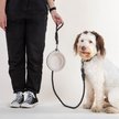 Show in main carousel: Cleverpup Nomad Silicone Dog Bowl, Sand, Large: 4-cup slide 6 of 7