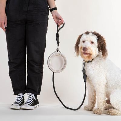 Show full view: Cleverpup Nomad Silicone Dog Bowl, Sand, Large: 4-cup slide 6 of 8