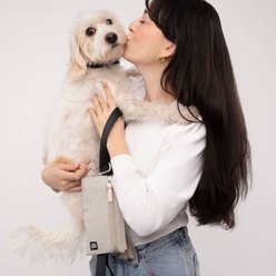 Cleverpup Porter Dog Gear Backpack, Sand slide 2 of 6