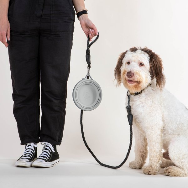 Show full view: Cleverpup Nomad Silicone Dog Bowl, Grey, Large: 4-cup slide 5 of 7