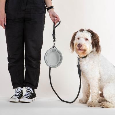 Show full view: Cleverpup Nomad Silicone Dog Bowl, Grey, Large: 4-cup slide 6 of 9