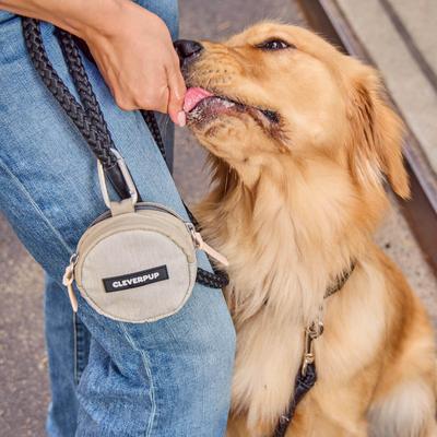 Show full view: Cleverpup Snackpack Double Insulated Dog Treat Pouch, Sand slide 2 of 10