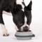 Show in main carousel: Cleverpup Nomad Silicone Dog Bowl, Grey, Small: 2-cup slide 2 of 8