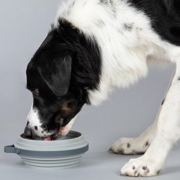 Show full view: Cleverpup Nomad Silicone Dog Bowl, Grey, Large: 4-cup slide 6 of 7