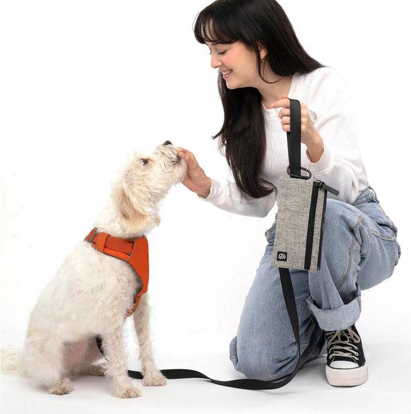 Show full view: Cleverpup Porter Dog Gear Backpack, Heather Grey slide 4 of 6