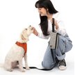 Show in main carousel: Cleverpup Porter Dog Gear Backpack, Heather Grey slide 4 of 6