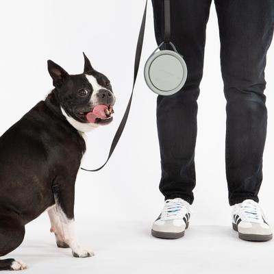 Show full view: Cleverpup Nomad Silicone Dog Bowl, Grey, Small: 2-cup slide 5 of 8