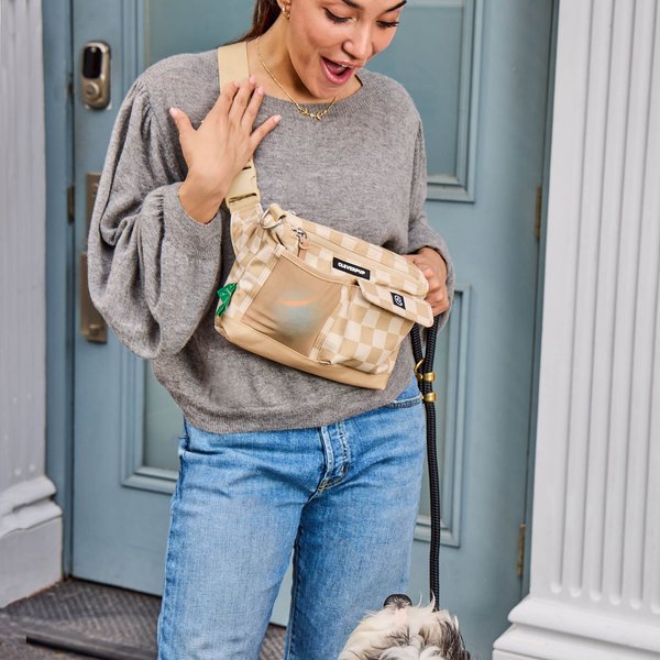 Cleverpup Snackpack Double Insulated Dog Treat Pouch