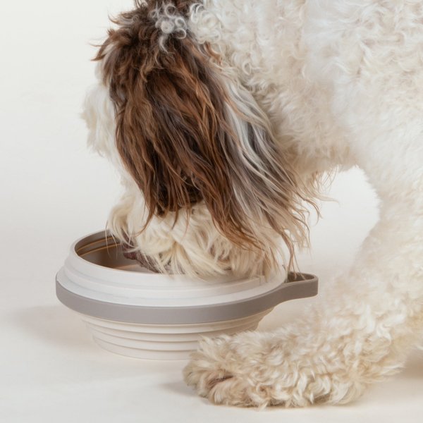 Show full view: Cleverpup Nomad Silicone Dog Bowl, Sand, Large: 4-cup slide 2 of 7