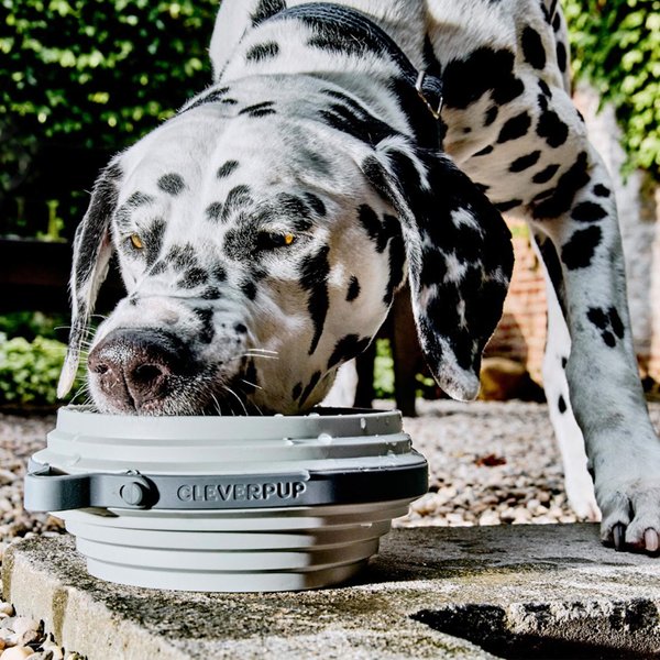 Show full view: Cleverpup Nomad Silicone Dog Bowl, Grey, Large: 4-cup slide 2 of 7