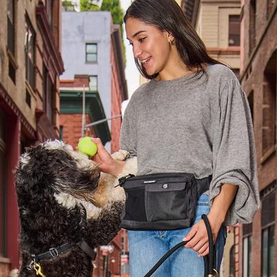 Show full view: Cleverpup Dog Walk & Train Sling Bag with Poop Bag Dispenser & Treat Pocket, Graphite slide 6 of 9