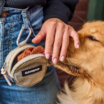 Show full view: Cleverpup Snackpack Double Insulated Dog Treat Pouch, Sand slide 7 of 10