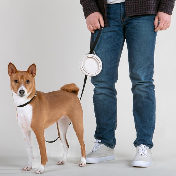 Show full view: Cleverpup Nomad Silicone Dog Bowl, Sand, Small: 2-cup slide 5 of 7
