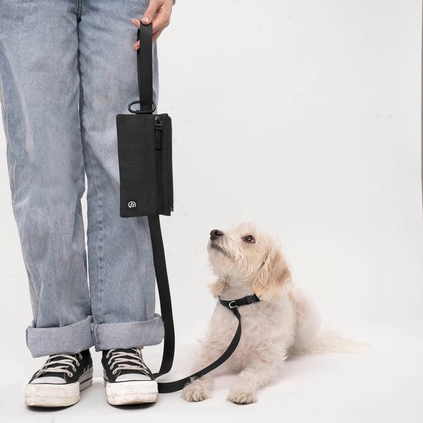 Show full view: Cleverpup Porter Dog Gear Backpack, Graphite slide 4 of 5