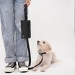 Show in main carousel: Cleverpup Porter Dog Gear Backpack, Graphite slide 4 of 5