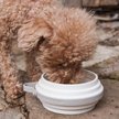 Show in main carousel: Cleverpup Nomad Silicone Dog Bowl, Sand, Small: 2-cup slide 6 of 7