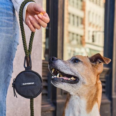 Show full view: Cleverpup Snackpack Double Insulated Dog Treat Pouch, Graphite slide 2 of 10