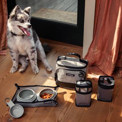 Show full view: Cleverpup Bistro Box 7-Piece Dog Food Travel Kit, Heather Grey, Small: 6-cup slide 3 of 11