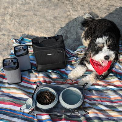 Show full view: Cleverpup Bistro Box 7-Piece Dog Food Travel Kit, Graphite, Large: 12-cup slide 6 of 9