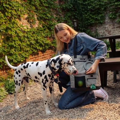 Show full view: Cleverpup Park Pack 2-Piece Dog Gear Tote with Travel Bowl, Heather Grey slide 3 of 9