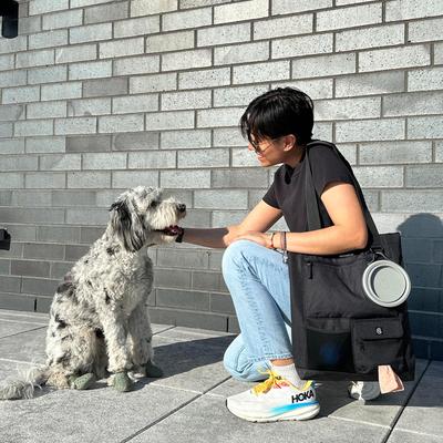 Show full view: Cleverpup Park Pack 2-Piece Dog Gear Tote with Travel Bowl, Graphite slide 2 of 8