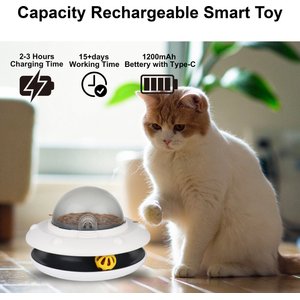 Luckylala Electric Interactive Cat Feeder, White