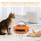 Show in main carousel: Luckylala Electric Interactive Cat Feeder, Orange slide 2 of 10
