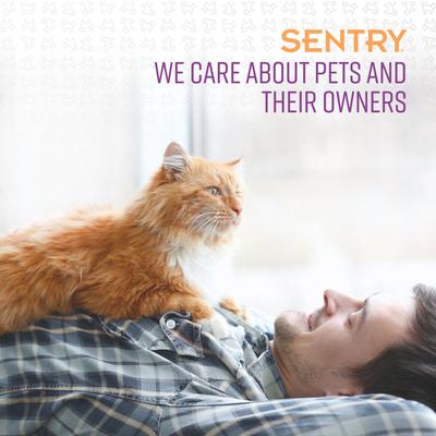Show full view: Sentry Good Behavior Calming Collar for Cats, up to 15-in neck, 1 count slide 6 of 10