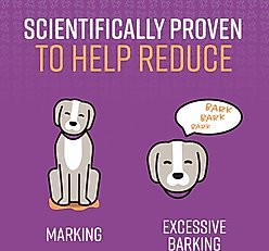 Sentry Good Behavior Calming Diffuser Refill for Dogs, 30 day slide 2 of 5