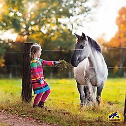 Cavalor PodoSens Liquid Horse Supplement, 500-mL tin slide 2 of 4
