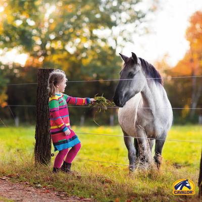 Show full view: Cavalor PodoSens Liquid Horse Supplement, 500-mL tin slide 3 of 6