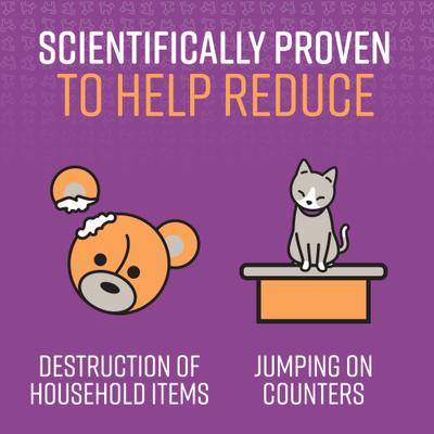 Show full view: Sentry Stop That! Noise & Pheromone Cat Spray, 1-fl oz slide 4 of 8