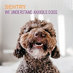 Sentry Good Behavior Calming Collar for Dogs, up to 23-in neck, 3 count slide 2 of 6