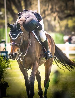 Show full view: Cavalor Fiberforce Gastro Horse Food, 33-lb bag slide 3 of 6