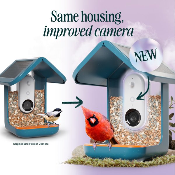 Bird Buddy PRO Solar Smart Bird Feeder, Blue