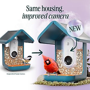 Bird Buddy PRO Solar Smart Bird Feeder, Blue