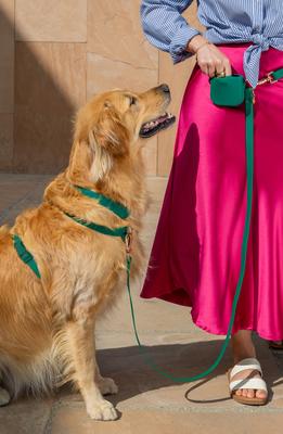 Show full view: Sunny Tails Cloud Lite Waterproof Dog Harness, Meadow Green, Medium: 20 to 29-in chest slide 5 of 10