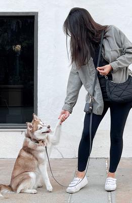 Show full view: Sunny Tails Cloud Waterproof Dog Collar, Ember Black, Medium: 12 to 18-in neck, 3/4-in wide slide 5 of 8