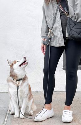 Show full view: Sunny Tails Cloud Waterproof Dog Collar, Ember Black, Medium: 12 to 18-in neck, 3/4-in wide slide 6 of 8