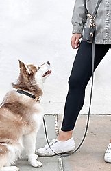 Sunny Tails Waste Dog Poop Bag Dispenser, Black slide 2 of 5
