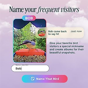 Bird Buddy PRO Solar Smart Bird Feeder, Blue