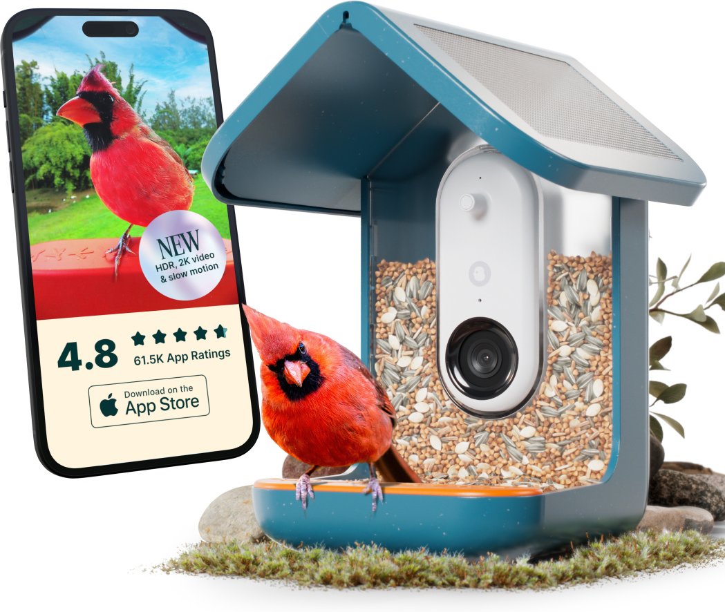 How to Charge Your Bird Buddy Camera: Easy Steps for Quick Power-Up
